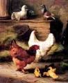 unknow artist Hens and Chicken France oil painting art